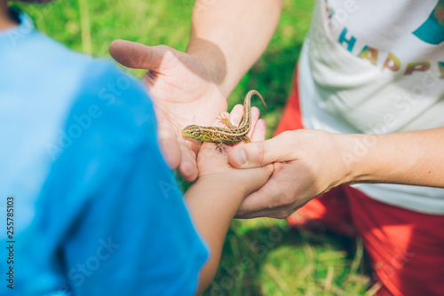 man showing lizard to kid