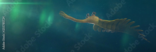 swimming Opabinia regalis, prehistoric aquatic animal from the Cambrian Period (3d science illustration banner) photo