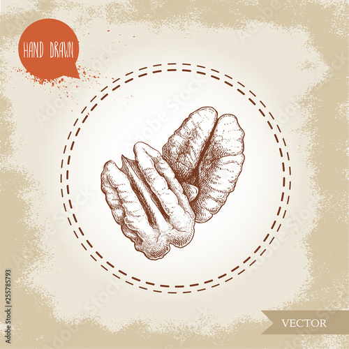 Pecan nuts. Hand drawn sketch style composition of pecan seeds. Organic snack vector illustration isolated on retro background.