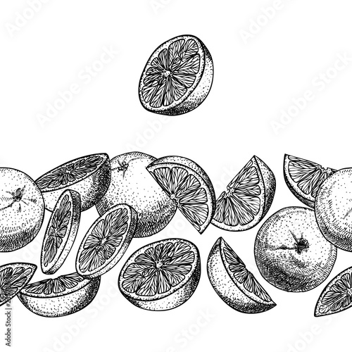 Design template with orange fruit in engraving stile. Seamless brush. Sweet and fresh fruit element for menu, greeting cards, wrapping paper, cosmetics packaging, labels, tags, posters etc