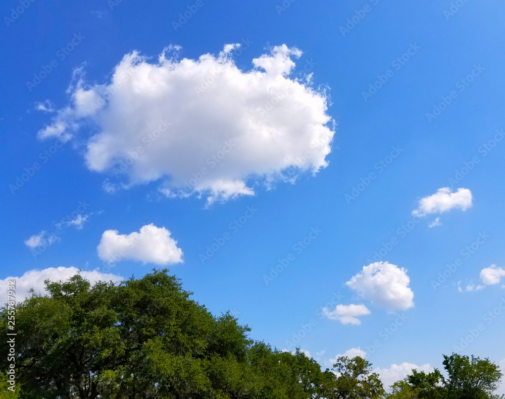 Cotton balls over Muldoon