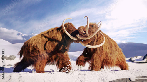 woolly mammoth bulls fighting, prehistoric ice age mammals in snow covered landscape photo