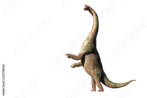 Brachiosaurus altithorax from the Late Jurassic in action (3d illustration isolated on white background) © dottedyeti