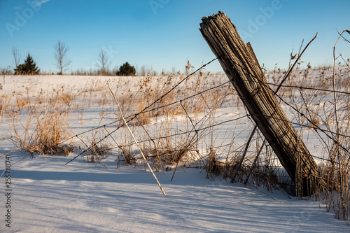 Fence post in the winter © Martin