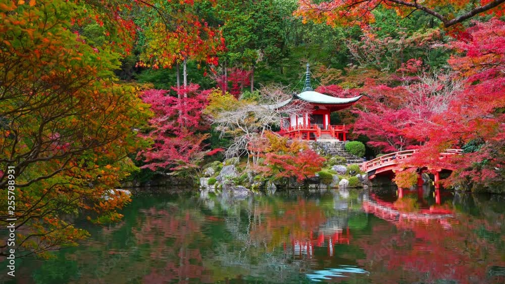 Daigo-ji temple with colorful maple trees in autumn at Kyoto,Japan