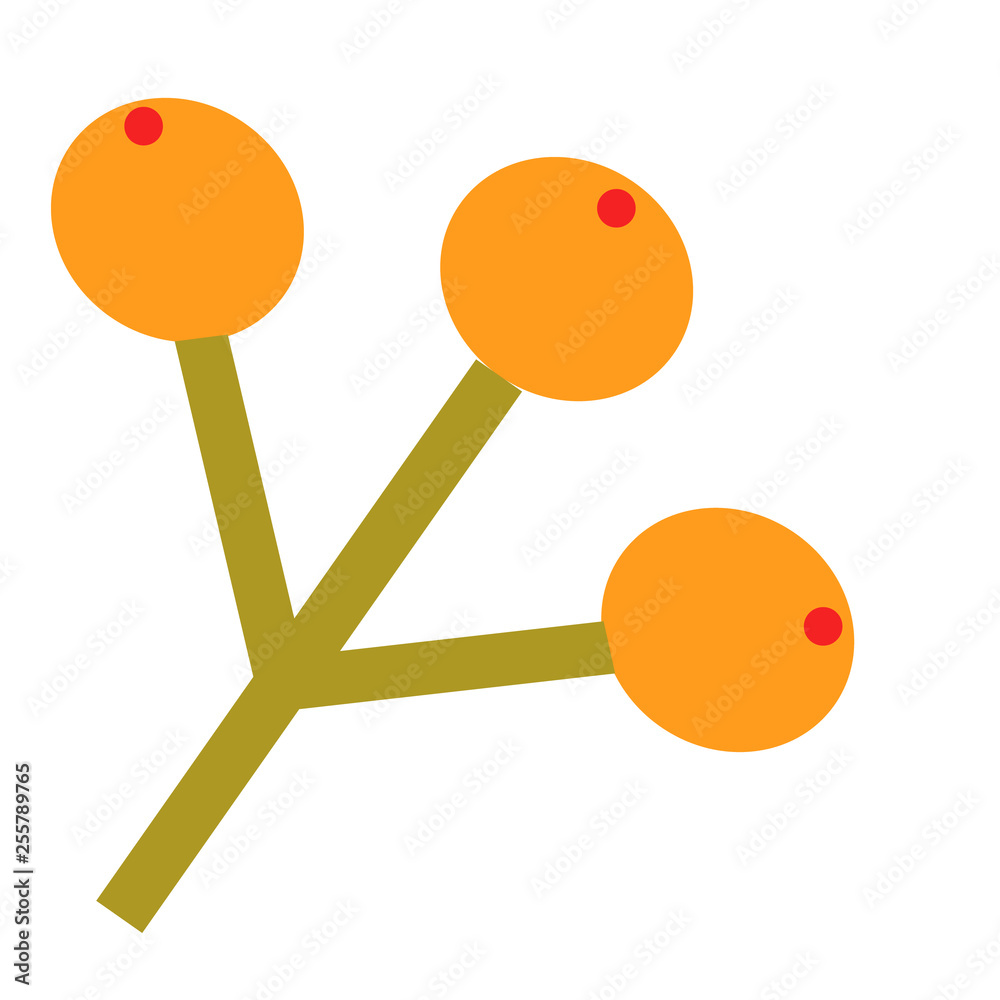 rowan berry flat illustration rowan berry flat illustration
