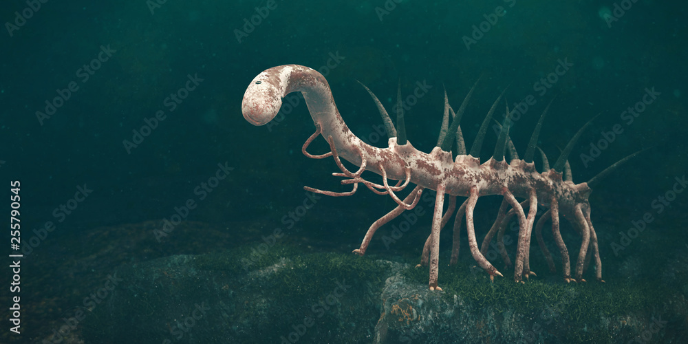 Hallucigenia, prehistoric aquatic animal from the Cambrian Period (3d ...