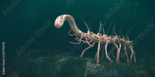 Hallucigenia, prehistoric aquatic animal from the Cambrian Period (3d paleoart illustration) photo