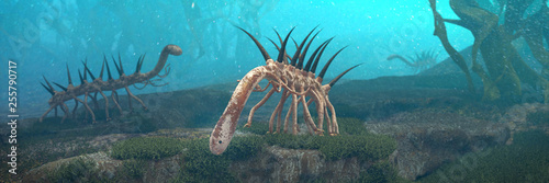 Obraz na plátně Hallucigenia, prehistoric aquatic animals from the Cambrian Period (3d paleoart