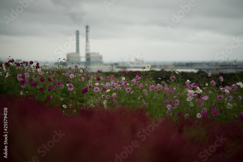 factory pollution and nature
