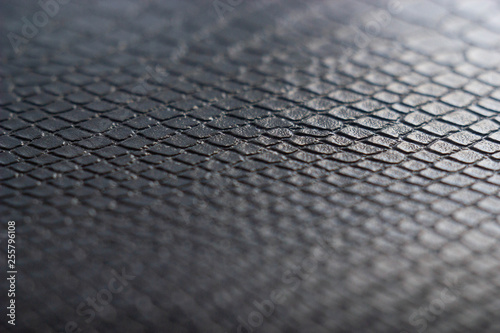 Crocodile skin with small scales