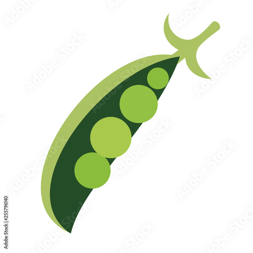 green peas flat simple illustration