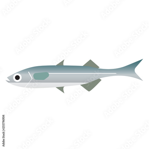 fish isolated flat style illustration