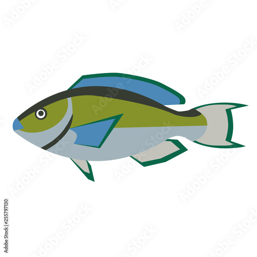 fish flat style illustration