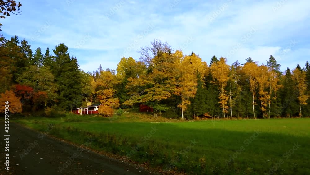Beautiful country landscape in a autumn day. Green orange trees and still green grass field. Beautiful colorful nature backgrounds. Beautiful country landscape in a autumn day. Green orange trees and still green grass field. Beautiful colorful nature backgrounds.