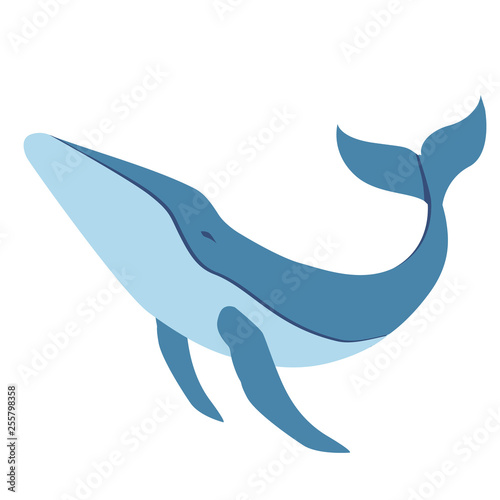blue whale flat illustration