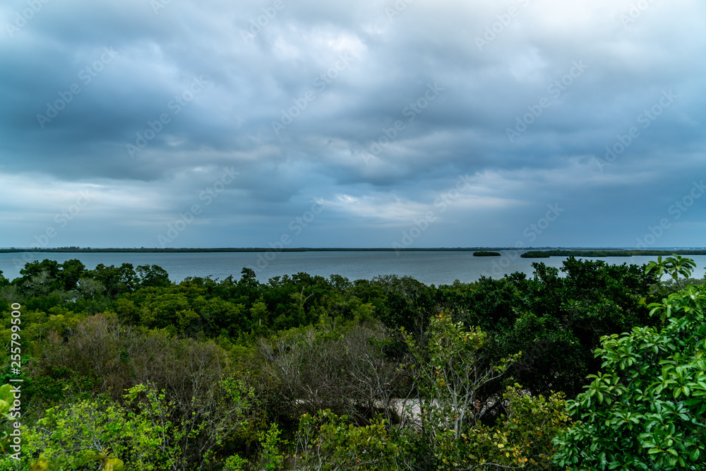 A look around Emerson Point Preserve and a beautiful sunset over Tampa Bay.
