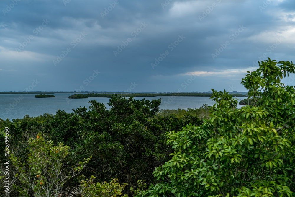 Obraz premium A look around Emerson Point Preserve and a beautiful sunset over Tampa Bay.