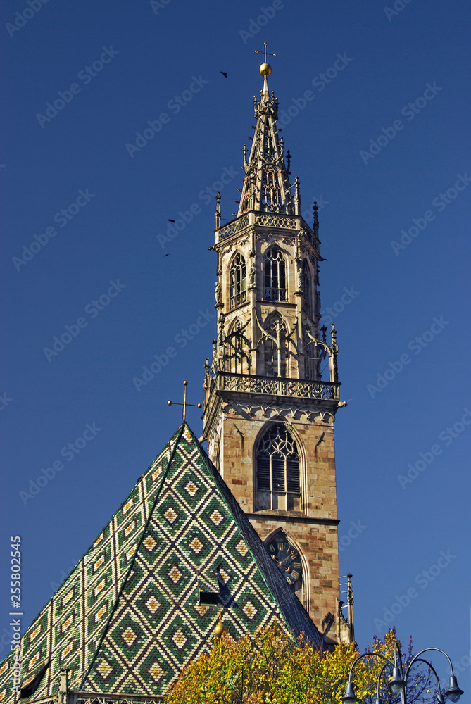 Fototapeta premium Südtirol Bozen Dom 8999.3