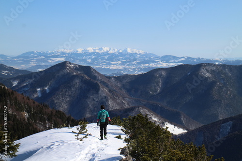 On the top of Malý Rozsutec 1 343 m in Malá Fatra mountains, Slovakia photo