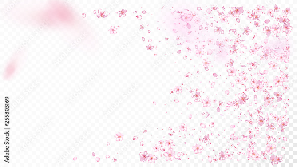Nice Sakura Blossom Isolated Vector. Pastel Flying 3d Petals Wedding Paper. Japanese Style Flowers Illustration. Valentine, Mother's Day Tender Nice Sakura Blossom Isolated on White