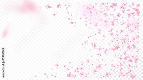 Nice Sakura Blossom Isolated Vector. Pastel Flying 3d Petals Wedding Paper. Japanese Style Flowers Illustration. Valentine  Mother s Day Tender Nice Sakura Blossom Isolated on White