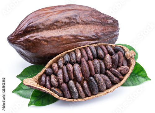 Cocoa pods and cocoa beans -chocolate basis isolated on a white background.