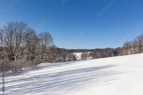 Winter rural landscape with snowy meadow and trees covered with snow © Roman's portfolio
