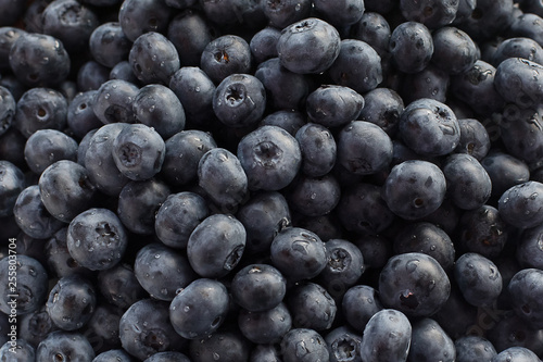 fresh blueberries closeup with dew drops