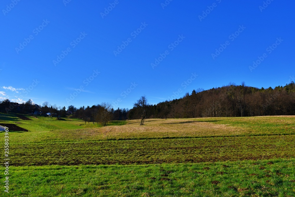 field on the farm