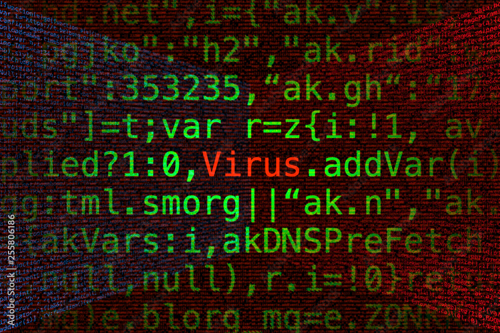 Virus in computer program code. Virus in computer program code.