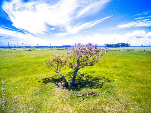 paisagem