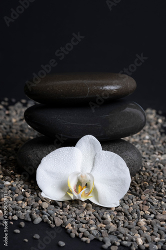 White Orchid surrounded by stones, photo in a dark key.