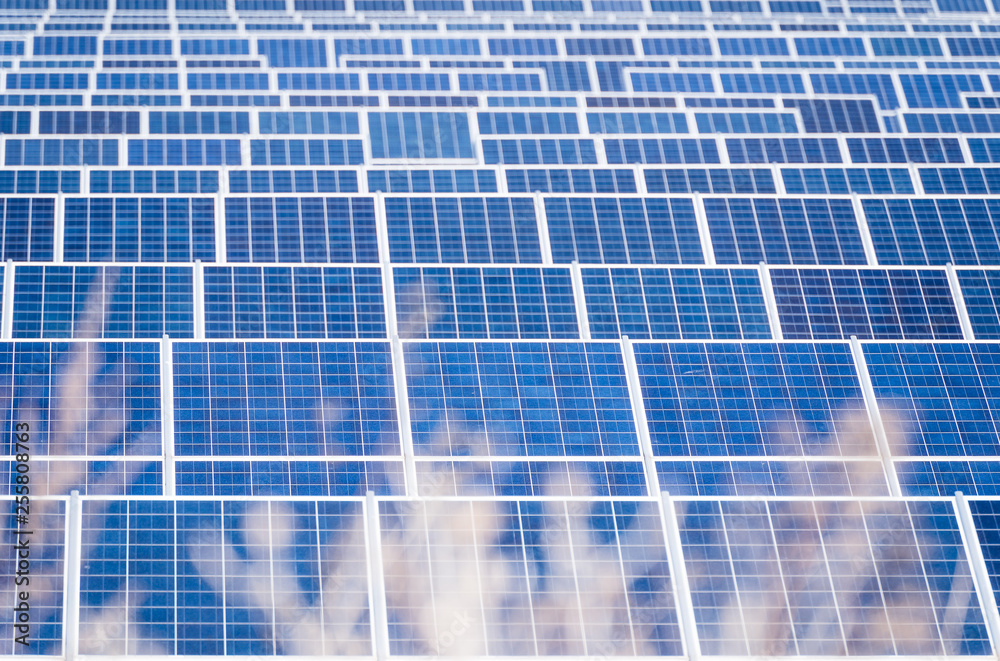 Plants in front of solar cells, solar panels, photovoltaic system. Plants in front of solar cells, solar panels, photovoltaic system.