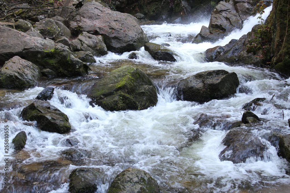 Fototapeta premium ruisseau/cours d'eau- tendon -88