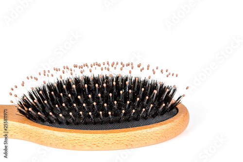 Wood hairbrush on white background. Close-up without hair