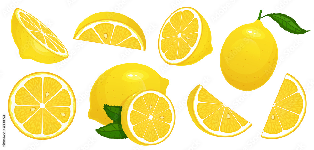 Lemon slices. Fresh citrus, half sliced lemons and chopped lemon isolated cartoon vector illustration set