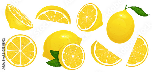 Lemon slices. Fresh citrus, half sliced lemons and chopped lemon isolated cartoon vector illustration set