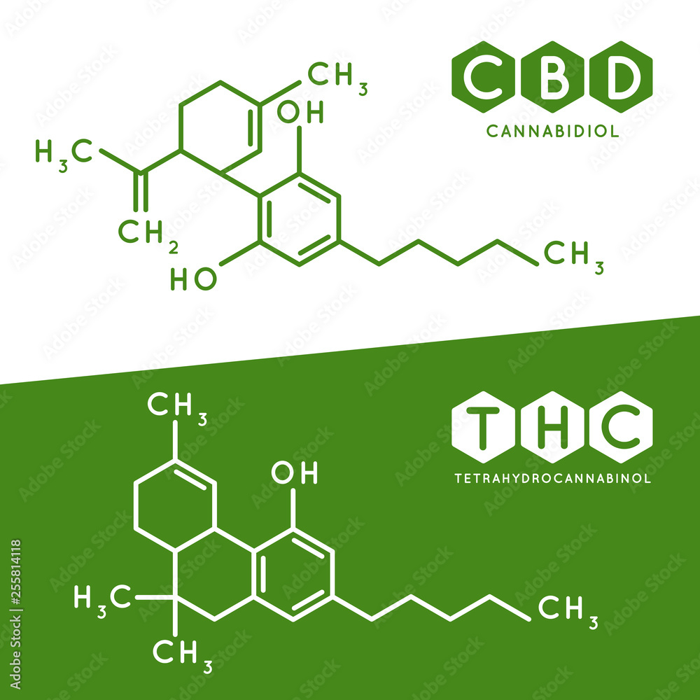 Thc and cbd formula. Cannabidiol and tetrahydrocannabinol molecule structure compound. Medical marijuana molecules vector illustration Thc and cbd formula. Cannabidiol and tetrahydrocannabinol molecule structure compound. Medical marijuana molecules vector illustration