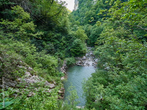 A mountain river with stony shores flows from a lake through a gorge with dense green forest