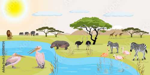 African landscape vector illustration