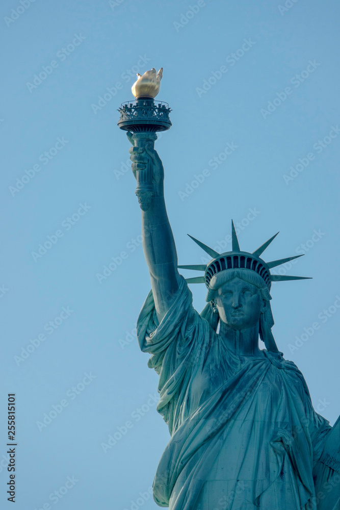 Fototapeta premium Torch Held High