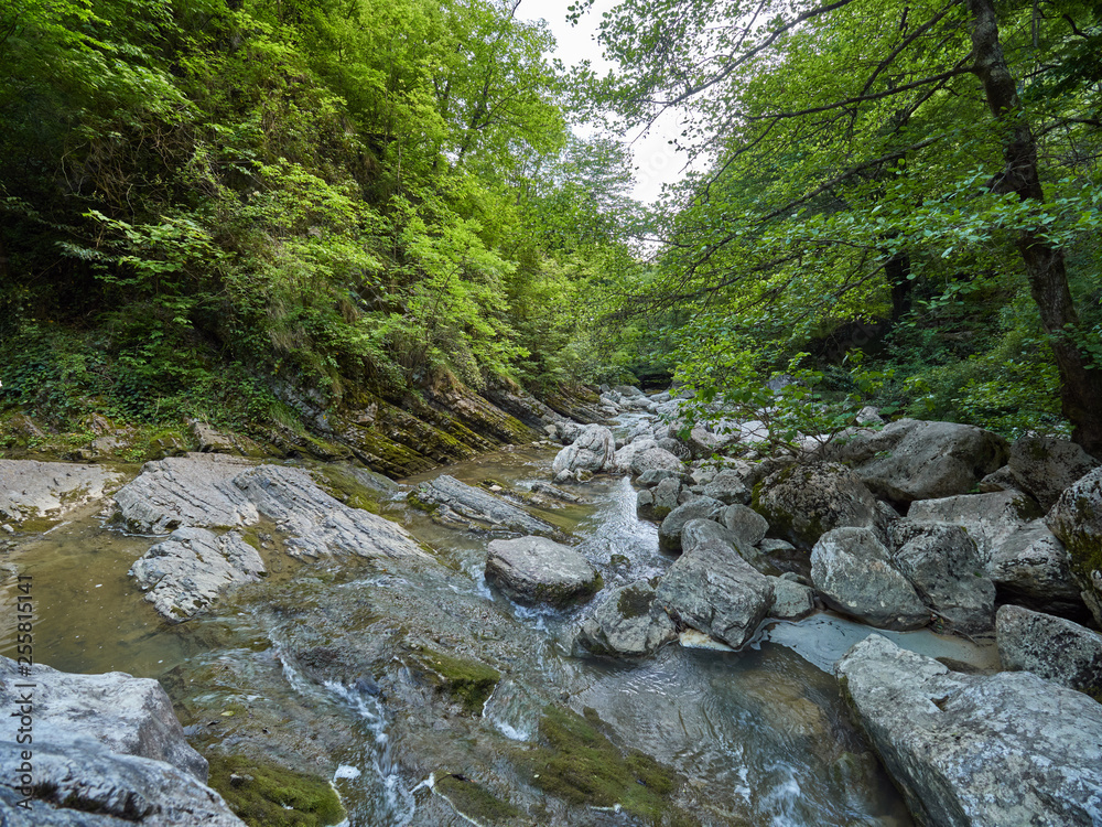 Mountain river flows through the cliffs into the gorges with thick green forest Mountain river flows through the cliffs into the gorges with thick green forest