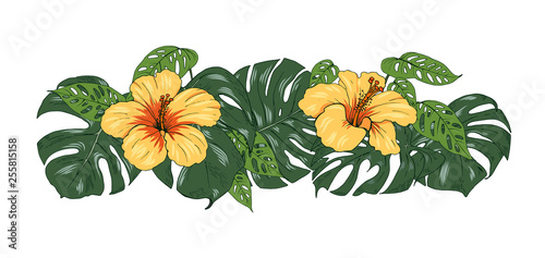 Tropical plants and flowers, palm and monstera leaves, hibiscus flowers, vector illustration
