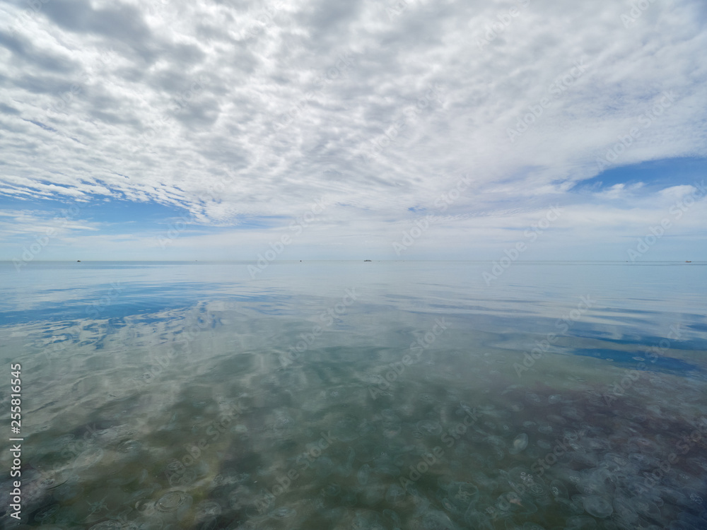 Low dense clouds over the sea. Low dense clouds over the sea.