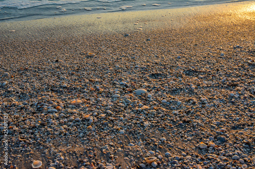 Sunset lighting up sea shells on a Florida Gulf Coast Beach.