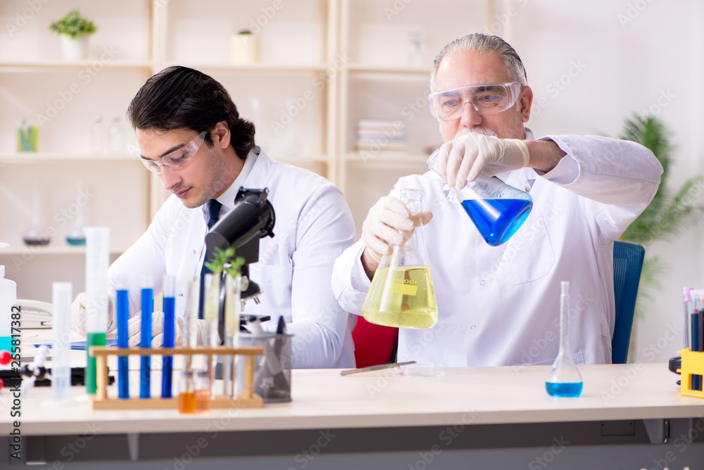 Fototapeta premium Two chemists working in the lab 