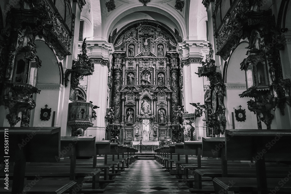 a beautiful black and white shot taken inside a church in Cadiz, Spain
