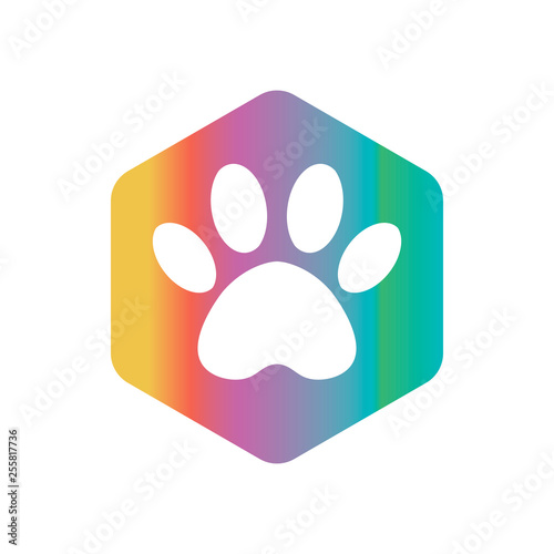 multicolored vector hexagon shape icon with the animals. Cat paw icons isolated. animal footprint hexagonal.