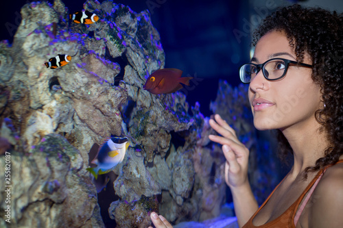Woman look at different fish inside an aquarium photo